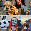 We've seen some great Halloween costumes this year.
