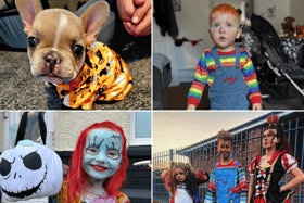 We've seen some great Halloween costumes this year.