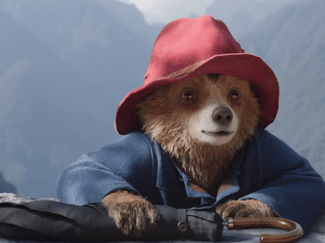 Paddington returns to cinemas this week, trading London for the Amazon Rainforest in Paddington in Peru.