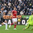 Chris Wood scored a hat-trick against Newcastle United at St James’ Park last season. 