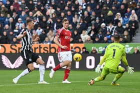 Chris Wood scored a hat-trick against Newcastle United at St James’ Park last season. 