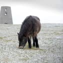 Snow and storms have hit South Tyneside this week. 