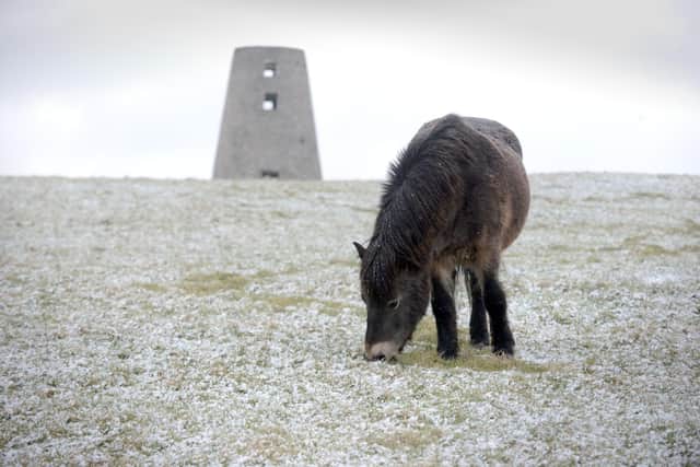 Snow and storms have hit South Tyneside this week. 