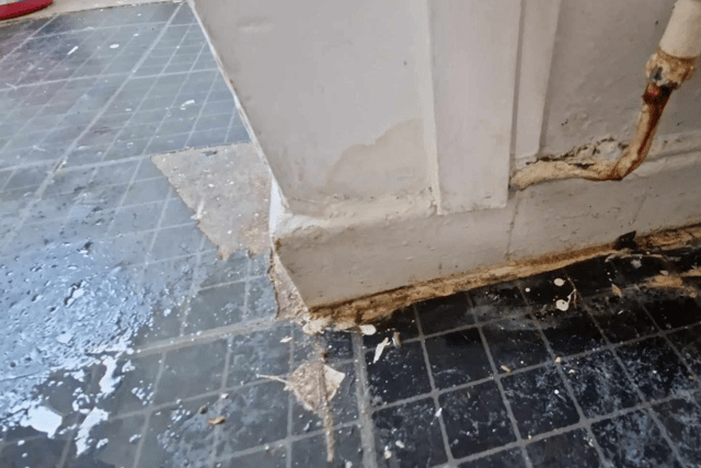 The downstairs of the property is "constantly flooded".