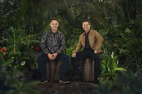 Ant and Dec host I'm a Celeb on ITV. Photo: ITV