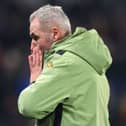 Former Hull City manager Tim Walter