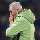 Former Hull City manager Tim Walter