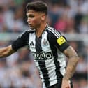 Newcastle United midfielder Jamie Miley 
