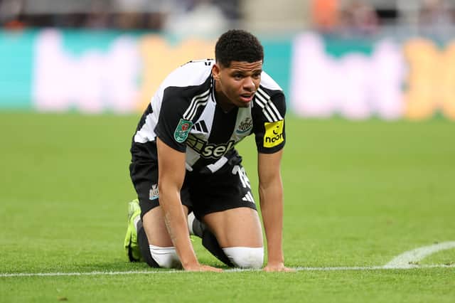 Currently being eased into Newcastle life by Howe, Osula has warmed the bench this season. Could be one to watch for the future.