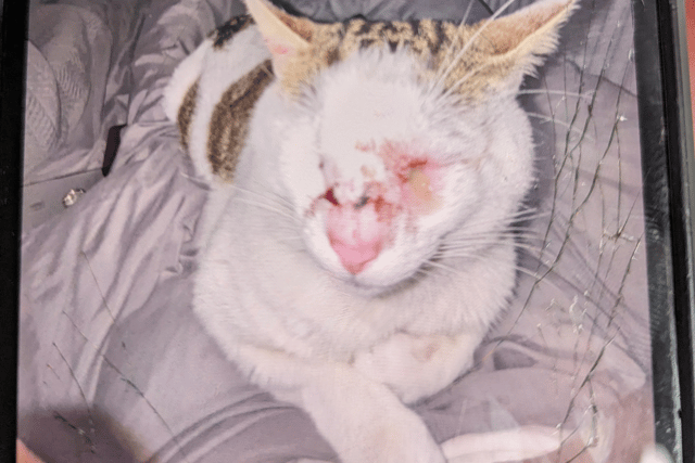 Nora's injuries were extensive.