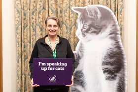 Kate Osborne has hosted a parliamentary reception with Cats Protection to highlight animal welfare issues to other MPs.