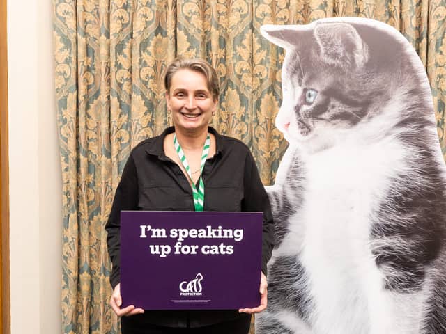 Kate Osborne has hosted a parliamentary reception with Cats Protection to highlight animal welfare issues to other MPs.