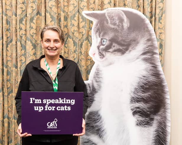 Kate Osborne has hosted a parliamentary reception with Cats Protection to highlight animal welfare issues to other MPs.