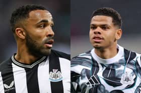 Callum Wilson's injury could hand Will Osula an opportunity to impress for Newcastle United