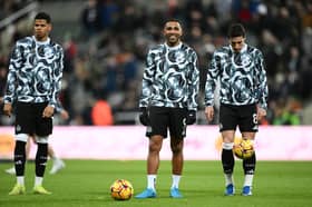 Newcastle United striker Callum Wilson has suffered another injury blow