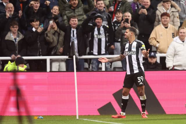 Bruno Guimaraes of Newcastle United celebrates scoring his team's second goal  during the Premier League match between Newcastle United FC and Leicester City FC at St James' Park on December 14, 2024 in Newcastle upon Tyne, England. (Photo by George Wood/Getty Images)