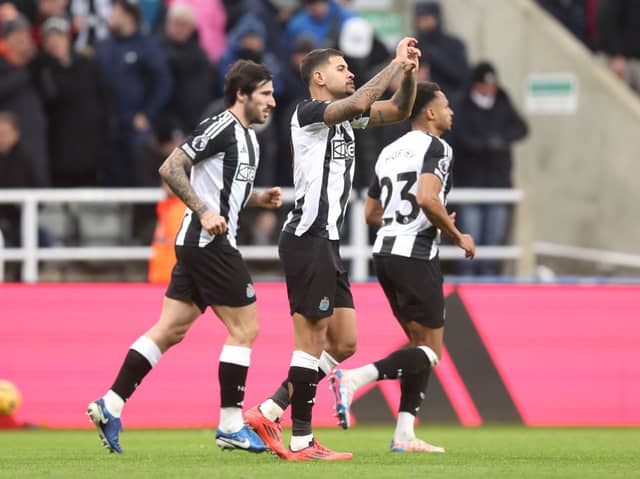 Newcastle United midfielder Bruno Guimaraes