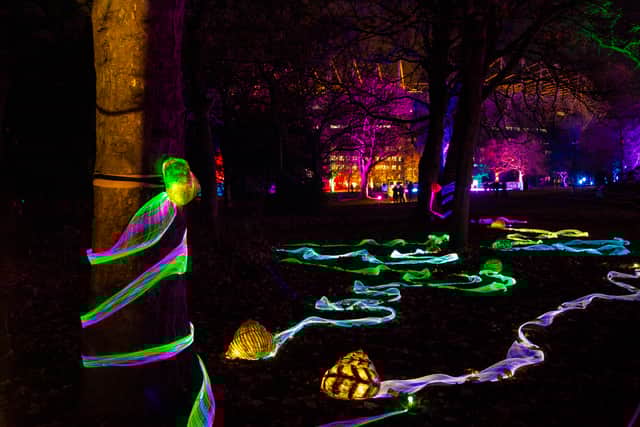 Stevie's Psychedelic Snails was a joint project with the Alan Shearer Centre and funded by Arts Council England.