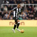 Joe Willock in action for Newcastle United