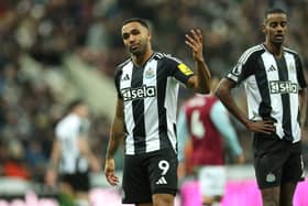 Callum Wilson of Newcastle United is set to become a free agent this summer (Pic: Getty)