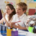 All three of the new schools aim to fill a local need
