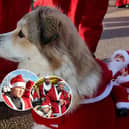 Shots! TV meet the festive runners at Blackpool Santa Dash, in a Christmas Special of Unconventional Brits