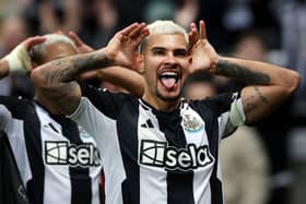 Bruno Guimaraes of Newcastle United celebrates scoring his sides goal which is later disallowed during the Premier League match between Newcastle United FC and Aston Villa FC at St James' Park on December 26, 2024 in Newcastle upon Tyne, England. (Photo by Ian MacNicol/Getty Images)