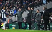 Tottenham Hotspur boss Ange Postecoglou. Spurs were denied a penalty against Newcastle United