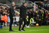 Wolves manager Vitor Pereira