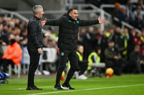 Wolves manager Vitor Pereira