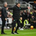 Wolves manager Vitor Pereira