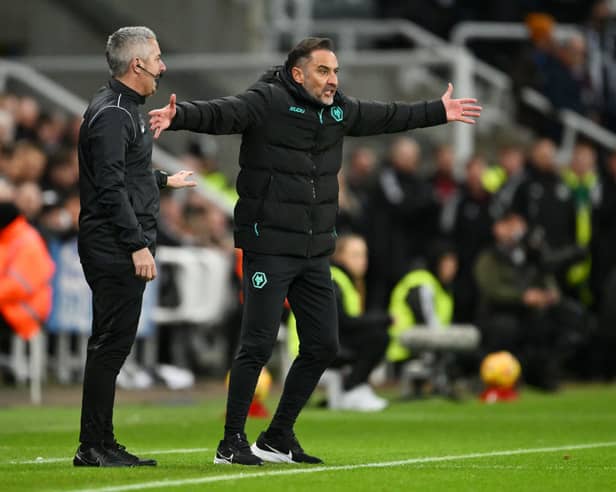 Wolves manager Vitor Pereira