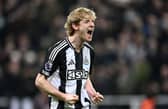 Newcastle United winger Anthony Gordon.