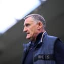 Tony Mowbray.