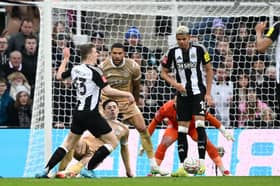 Newcastle United defender Matt Targett.