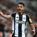 Jacob Murphy at Newcastle United.