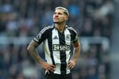Bruno Guimaraes at St James’ Park. 