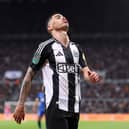 Newcastle United winger Miguel Almiron