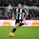 Newcastle United midfielder Sandro Tonali. Tonali has been linked with a move to Juventus