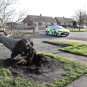 York Avenue, in Jarrow, is closed heading northbound after Storm Eowyn causes a tree to fall.