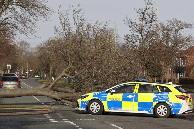 South Tyneside Council has confirmed the road will reopen when it is safe to do so.