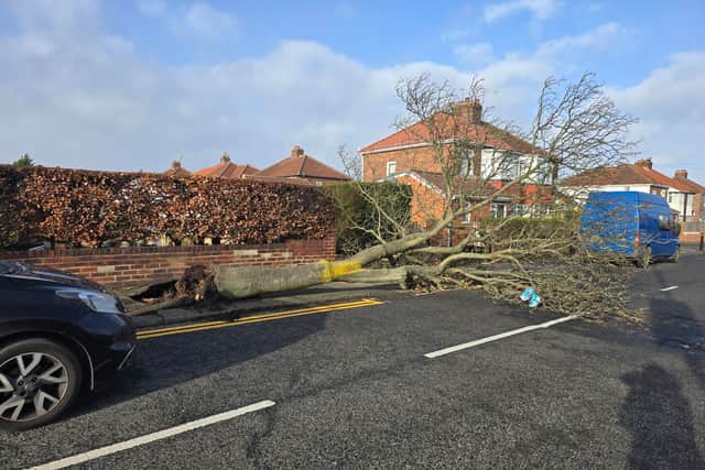 Crawley Avenue, in Hebburn, is also closed due to another fallen tree.