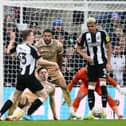 Newcastle United defender Matt Targett. Leeds United have reportedly enquired about the defender.