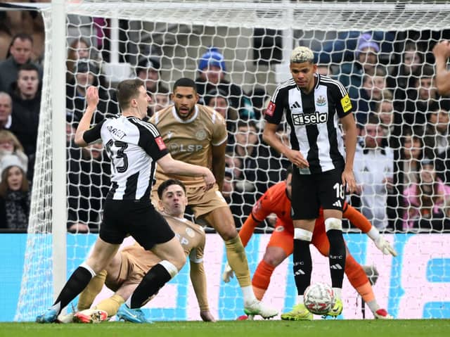 Newcastle United defender Matt Targett. Leeds United have reportedly enquired about the defender.