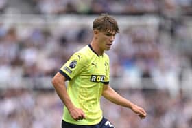 Southampton's Tyler Dibling. Tottenham Hotspur are reportedly interested in signing Dibling.