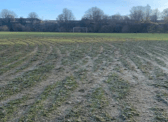 Football pitches at The Dell, on South Shields' Quarry Lane, have been severely damaged by off-road vehicles.