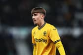 Fraser Harper of Wolverhampton during the Bristol Street Motors Trophy match between Derby County and Wolverhampton Wanderers U21 at Pride Park on November 08, 2023 in Derby, England. (Photo by Jack Thomas - WWFC/Wolves via Getty Images)