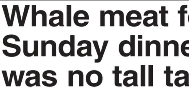 A Shields Gazette report on the new foodstuff which was hitting the dinner tables of South Tyneside.