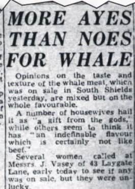 The meat which was taking South Tyneside by storm even if it did have a risk of intoxication with it.