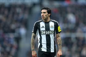 Sandro Tonali in action for Newcastle United. 